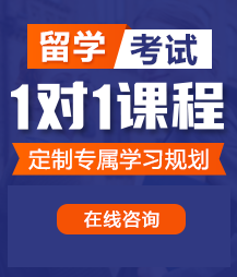 亚洲肥婆毛片视频留学考试一对一精品课